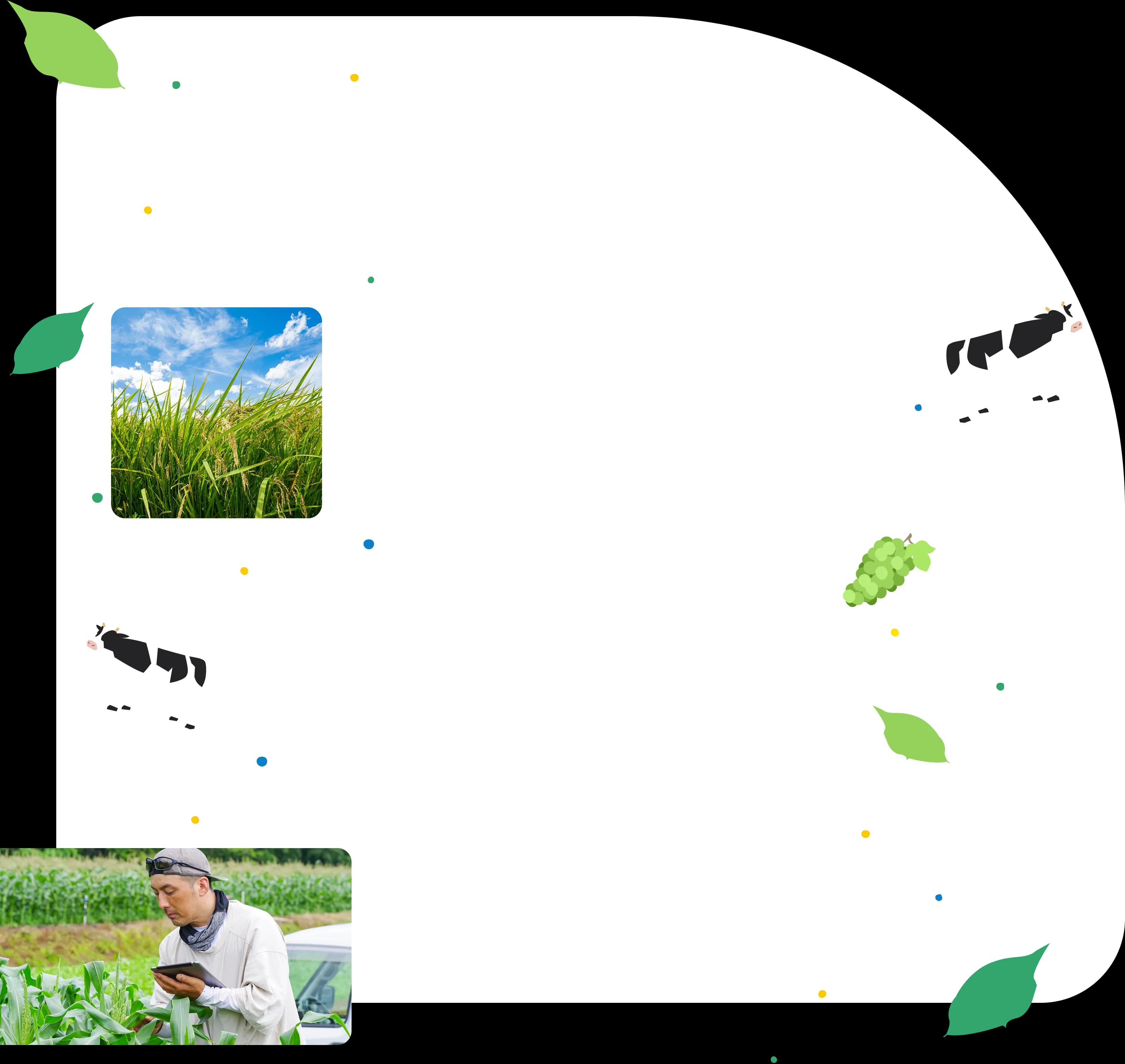 お客様の声が育んだ、豊かな食卓由利本荘市のスーパーマーケット